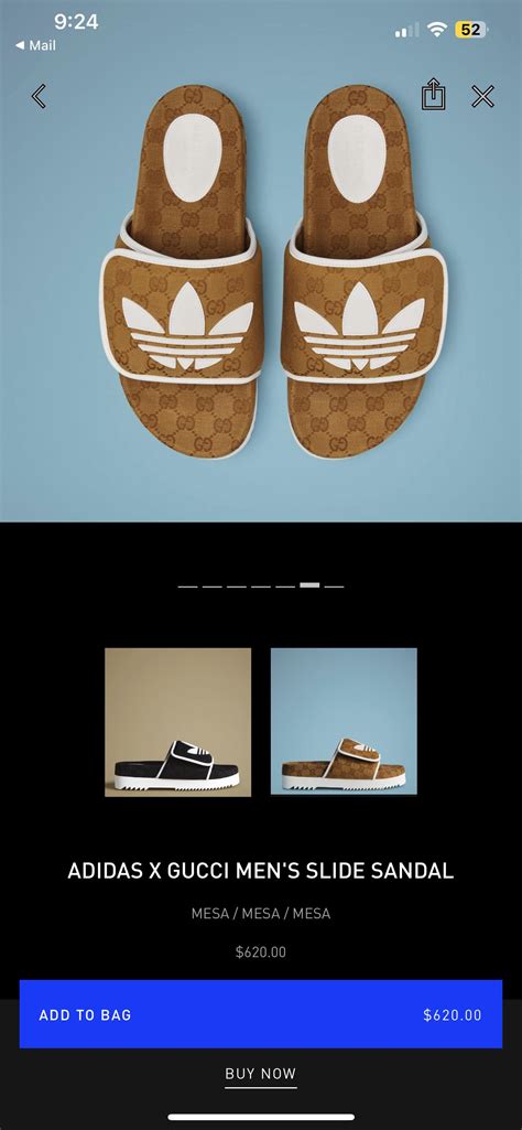 Adidas X Gucci : r/DHgate .